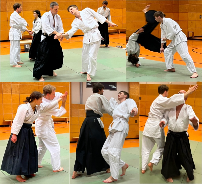 Aikido-Training