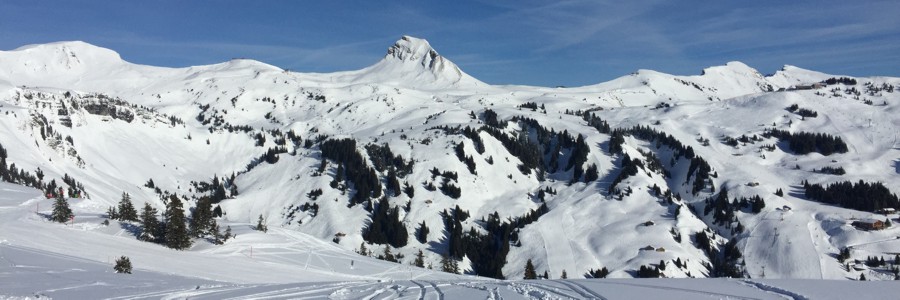Ski2.jpg