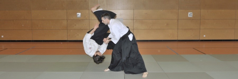 aikido3.jpg