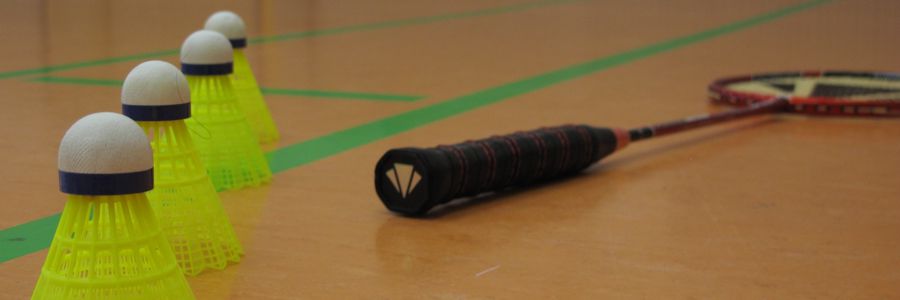 badminton4.jpg
