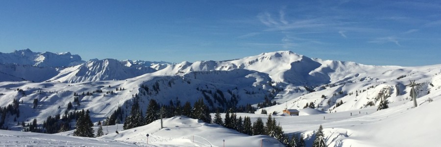 Ski1.jpg